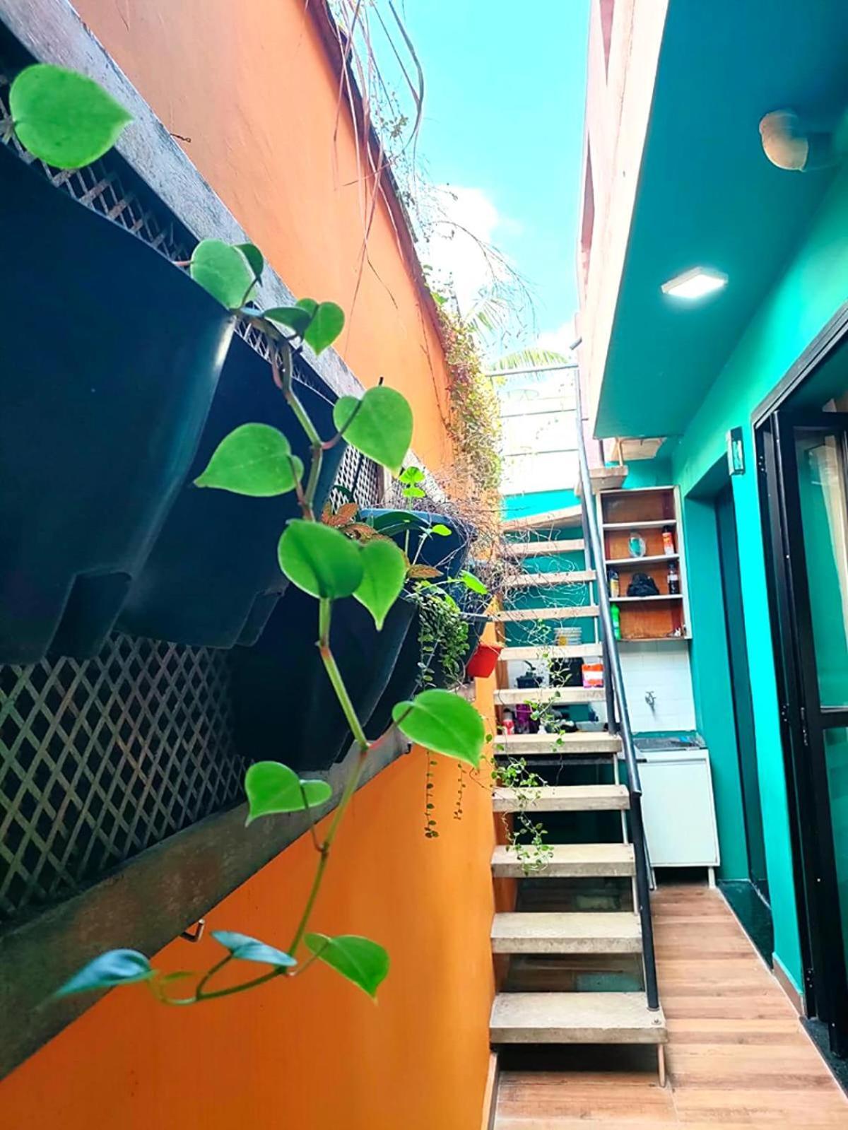 Casa 373 - Hospedaria Vila Mariana - Valores Acessiveis 상파울루 외부 사진